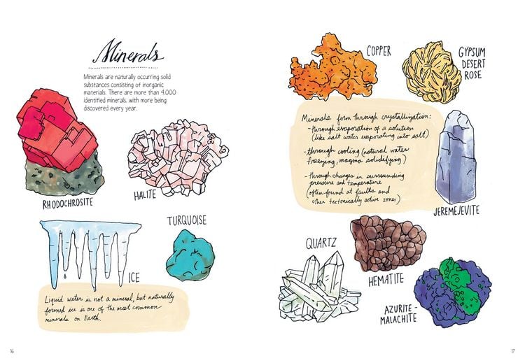 Produktbild: Nature Anatomy