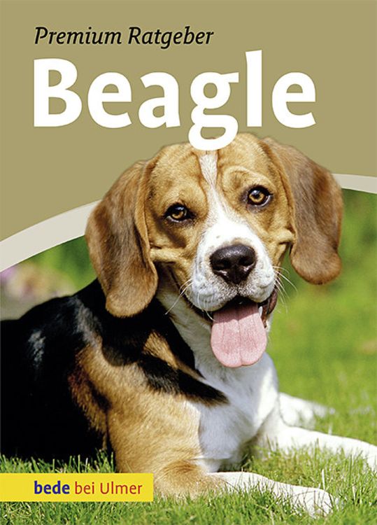 Produktbild: Beagle