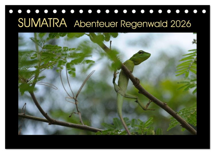 Produktbild: SUMATRA Abenteuer Regenwald (Tischkalender 2026 DIN A5 quer), CALVENDO Monatskalender