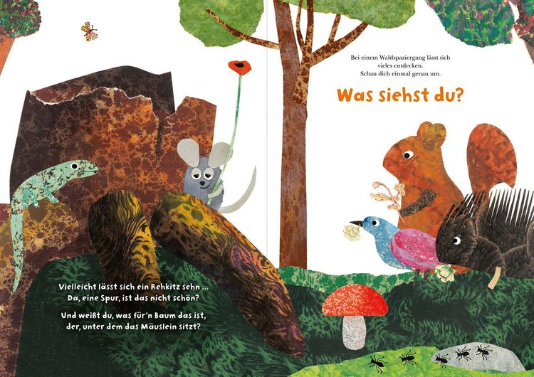 Produktbild: Frederick und seine Freunde &ndash; Komm, wir erkunden den Wald