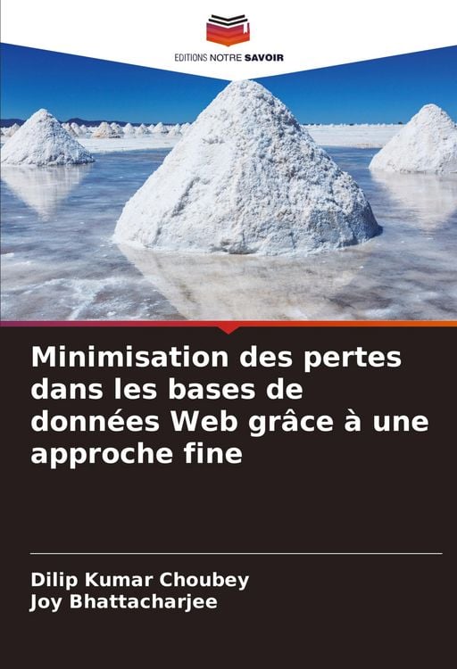 Produktbild: Minimisation des pertes dans les bases de donn&eacute;es Web gr&acirc;ce &agrave; une approche fine