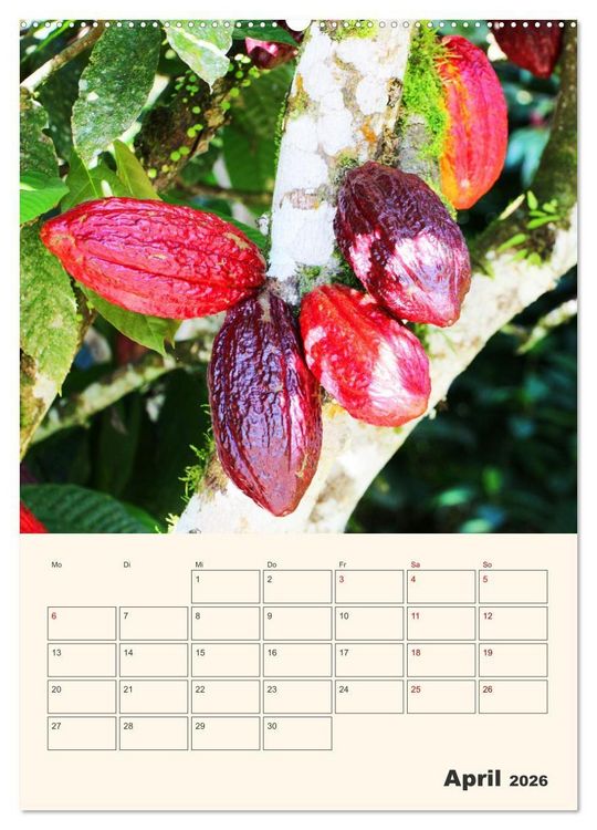 Produktbild: Ecuador - Terminplaner (hochwertiger Premium Wandkalender 2026 DIN A2 hoch), Kunstdruck in Hochglanz