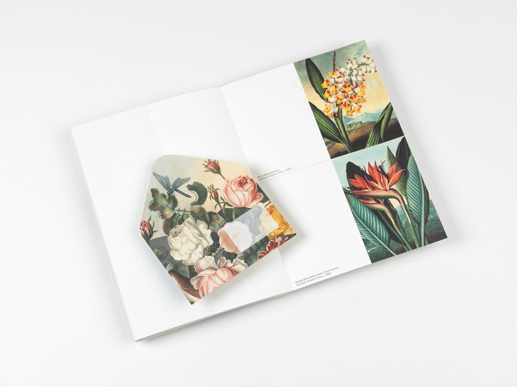 Produktbild: Flowers