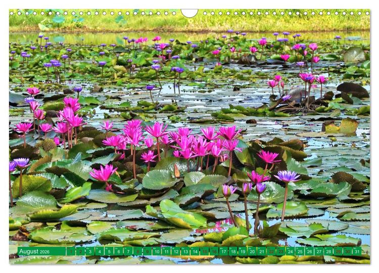 Produktbild: Sri Lanka, Gr&uuml;ne Berge - unber&uuml;hrte Natur (Wandkalender 2026 DIN A3 quer), CALVENDO Monatskalender