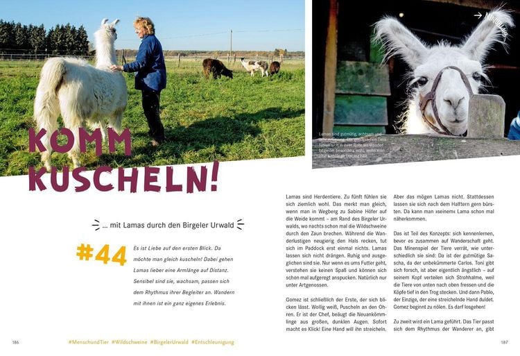 Produktbild: 52 kleine & gro&szlig;e Eskapaden am Niederrhein