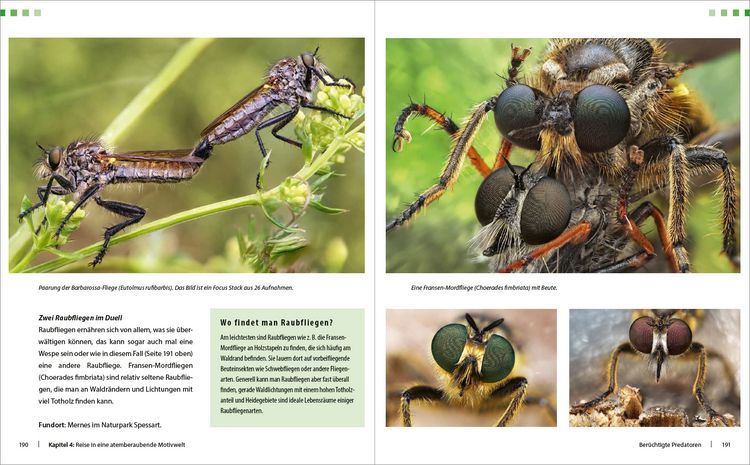 Produktbild: Extreme Wildlife-Makrofotografie