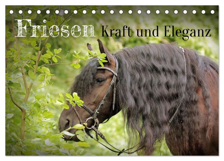 Produktbild: Friesen - Kraft und Eleganz (Tischkalender 2027 DIN A5 quer), CALVENDO Monatskalender