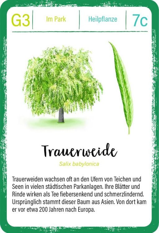 Produktbild: Expedition Natur Quartett B&auml;ume
