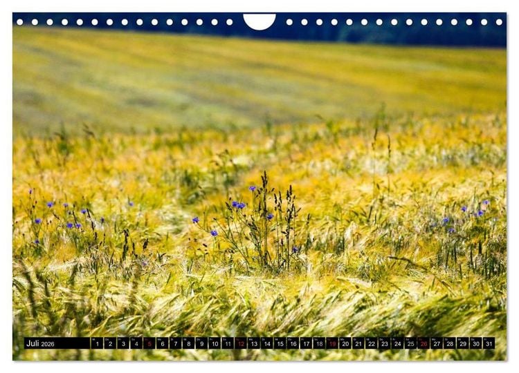 Produktbild: Sch&ouml;ne Landschaften der Oberlausitz (Wandkalender 2026 DIN A4 quer), CALVENDO Monatskalender
