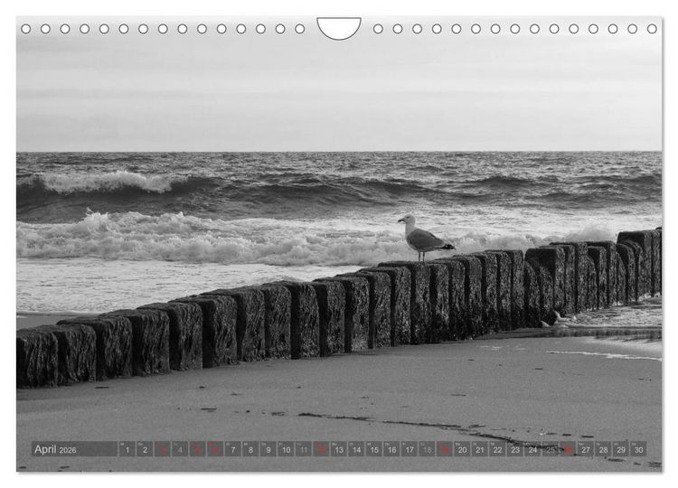 Produktbild: 54&deg;54'57"N 8&deg;19'51"E SYLT (Wandkalender 2026 DIN A4 quer), CALVENDO Monatskalender