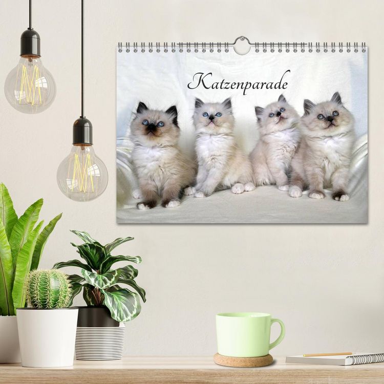 Produktbild: Katzenparade (Wandkalender 2026 DIN A4 quer), CALVENDO Monatskalender