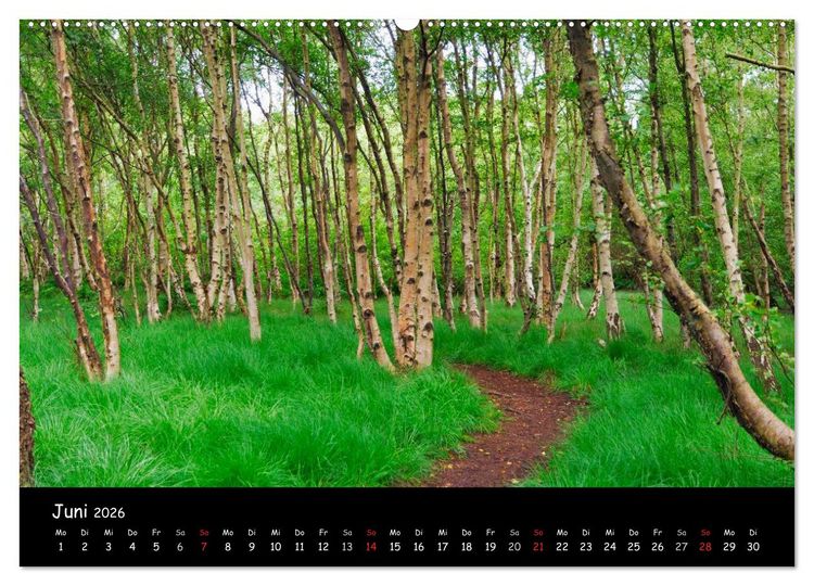 Produktbild: Amrum (Wandkalender 2026 DIN A2 quer), CALVENDO Monatskalender