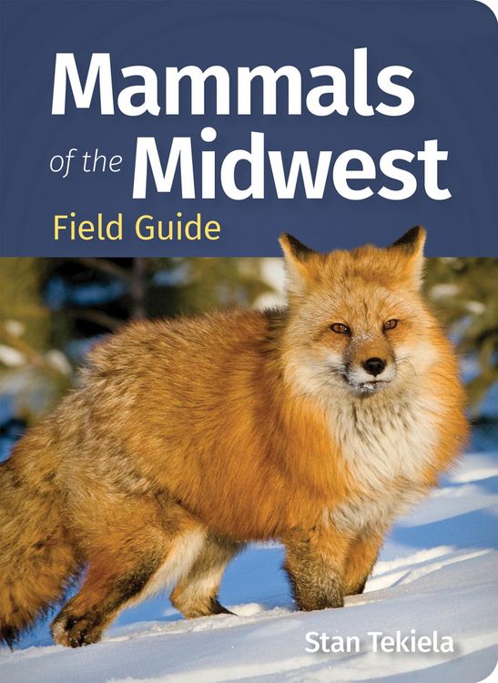 Produktbild: Mammals of the Midwest Field Guide