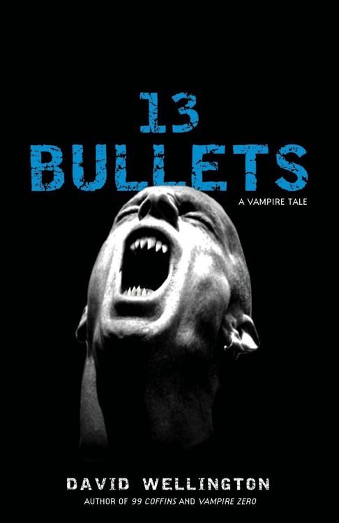 Produktbild: 13 Bullets