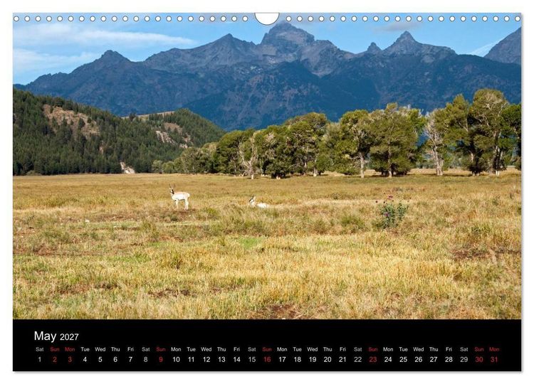 Produktbild: Beautiful Yellowstone and Grand Tetons National Parks (Wall Calendar 2027 DIN A3 landscape), CALVENDO 12 Month Wall Calendar