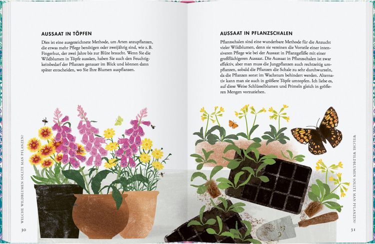 Produktbild: Wildblumen pflanzen