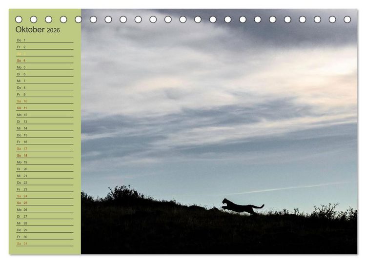 Produktbild: Wildlife S&uuml;damerika (Tischkalender 2026 DIN A5 quer), CALVENDO Monatskalender