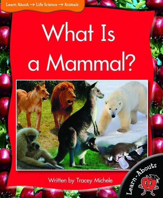 Produktbild: What Is a Mammal?