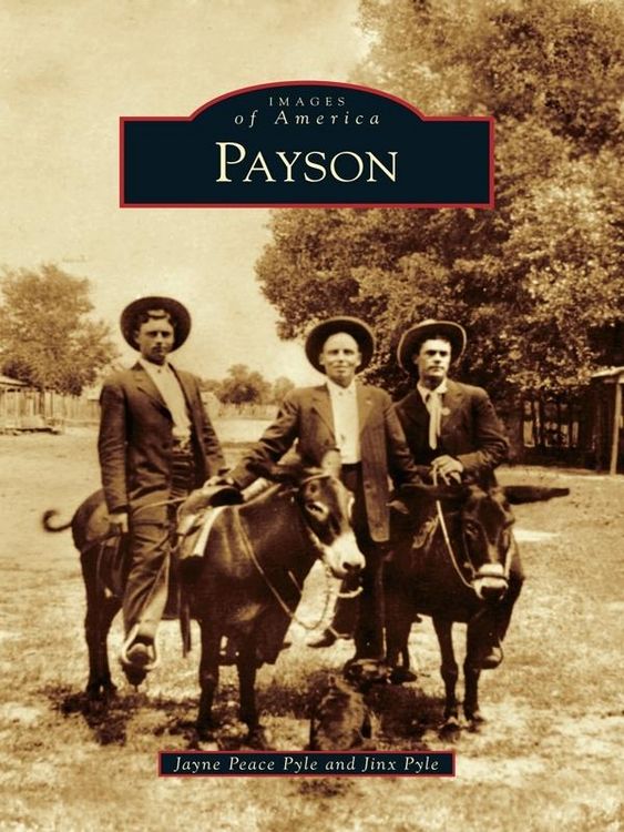 Produktbild: Payson