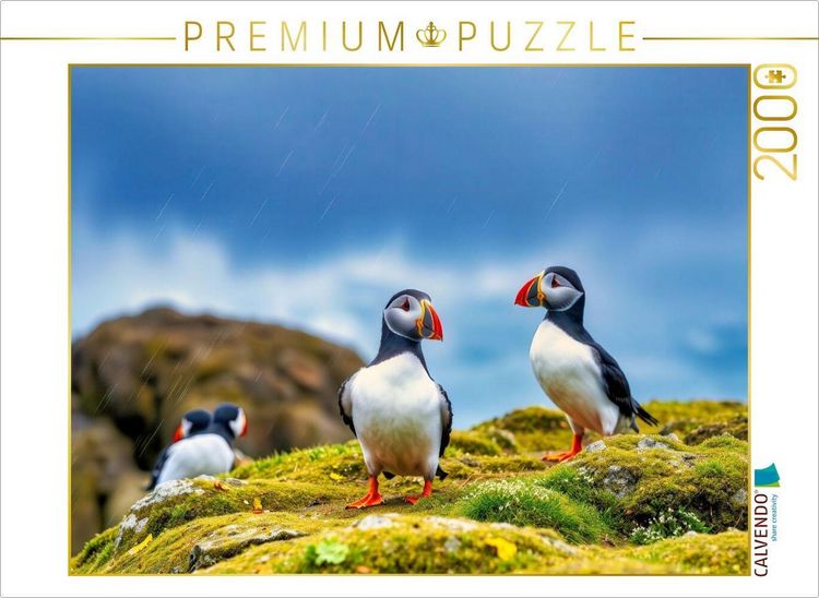 Produktbild: CALVENDO Puzzle Zur&uuml;ck zur Natur - mit dem Vogel, der das Meer liebt. | 2000 Teile Lege-Gr&ouml;&szlig;e 90x67cm Foto-Puzzle f&uuml;r gl&uuml;ckliche Stunden