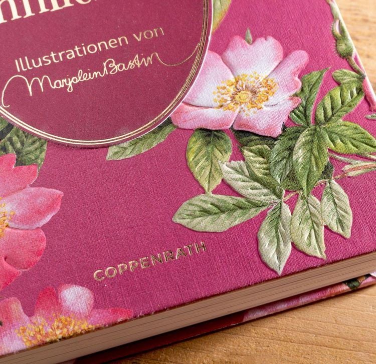 Produktbild: Sinn und Sinnlichkeit