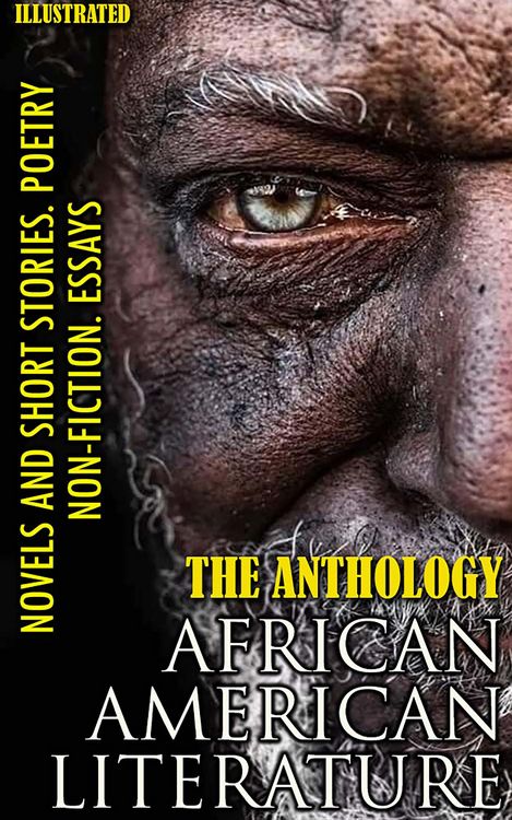 Produktbild: The Anthology. African American literature. Novels and short stories. Poetry. Non-fiction. Essays. Illustrated