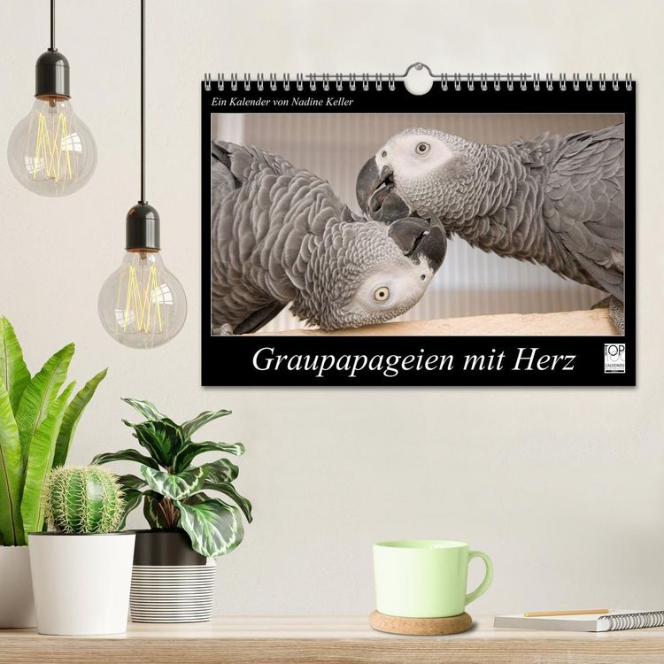 Produktbild: Graupapageien mit Herz (Wandkalender 2026 DIN A4 quer), CALVENDO Monatskalender