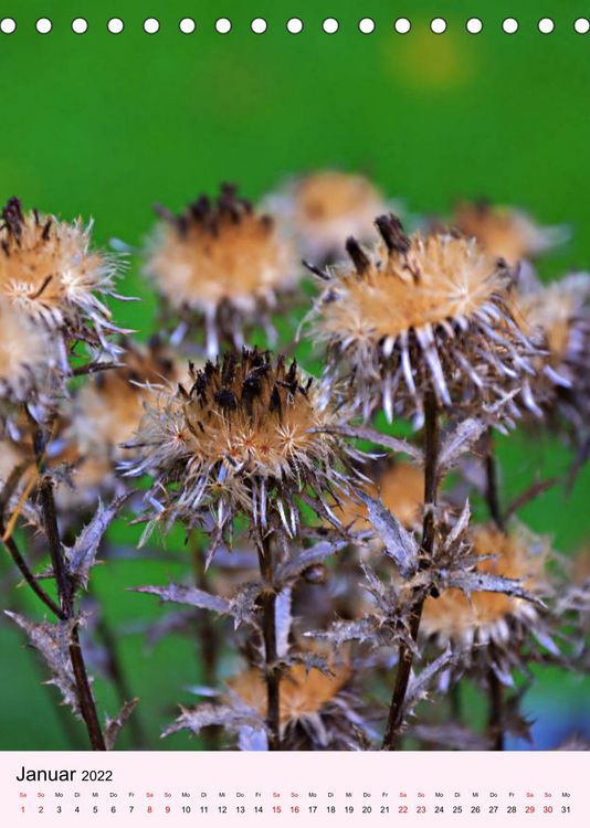 Produktbild: Lust auf Herbstfarben (Tischkalender 2022 DIN A5 hoch)