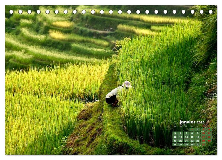 Produktbild: Riz de Chine (Calendrier de bureau 2026 DIN A5 vertical), CALVENDO calendrier mensuel