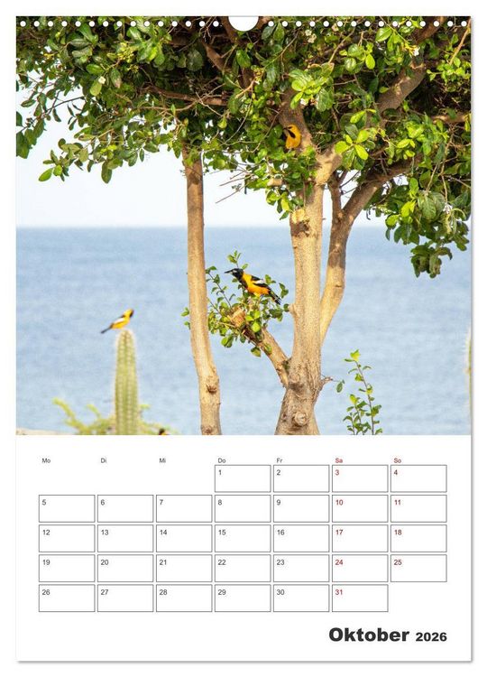 Produktbild: Curacao - Terminplaner (Wandkalender 2026 DIN A3 hoch), CALVENDO Monatskalender