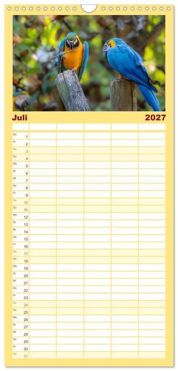 Produktbild: Familienplaner 2027 - Aras und bunte Sittiche: Exotische Papageien-Portr&auml;ts mit 5 Spalten (Wandkalender, 21 x 45 cm) CALVENDO