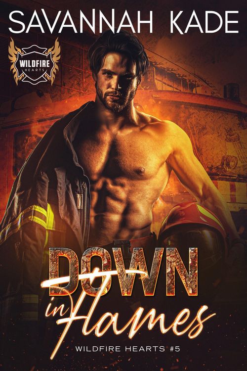 Produktbild: Down In Flames (WildFire Hearts, #5)