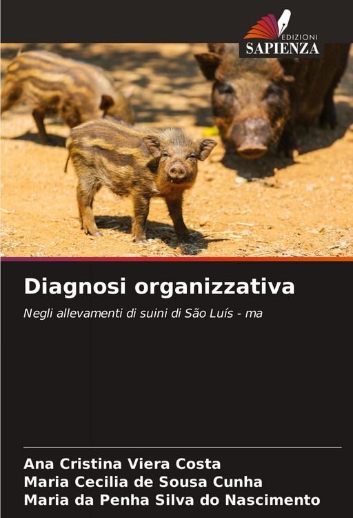 Produktbild: Diagnosi organizzativa