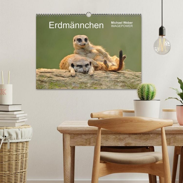 Produktbild: Erdm&auml;nnchen - Tierkinder (Wandkalender 2026 DIN A3 quer), CALVENDO Monatskalender