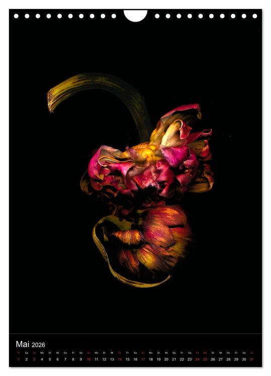 Produktbild: Blumen bei Nacht (Wandkalender 2026 DIN A4 hoch), CALVENDO Monatskalender