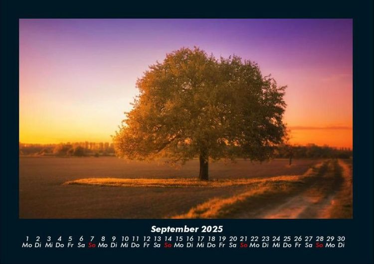 Produktbild: B&auml;ume 2025 Fotokalender DIN A4