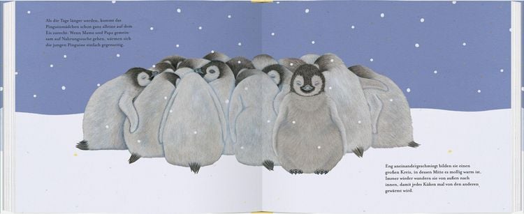 Produktbild: Kleiner Pinguin, bald bist du gro&szlig;!