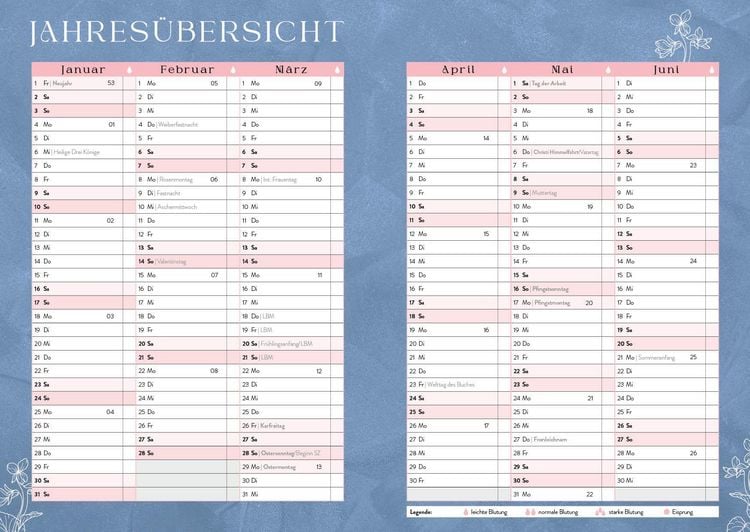Produktbild: I'd rather be reading ... &ndash; Mein Jahresplaner 2027: F&uuml;r alle #booklover