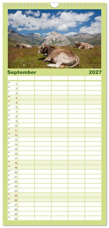 Produktbild: Familienplaner 2027 - Tierkalender 2027 mit 5 Spalten (Wandkalender, 21 x 45 cm) CALVENDO