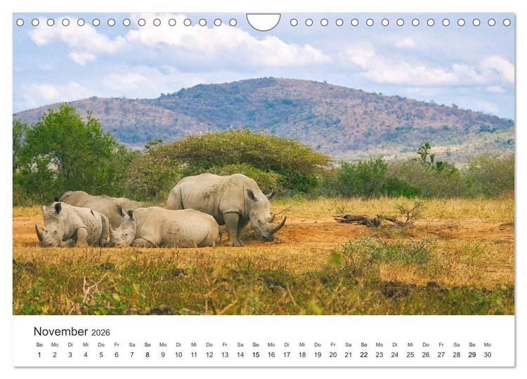 Produktbild: Safari durch Afrika (Wandkalender 2026 DIN A4 quer), CALVENDO Monatskalender