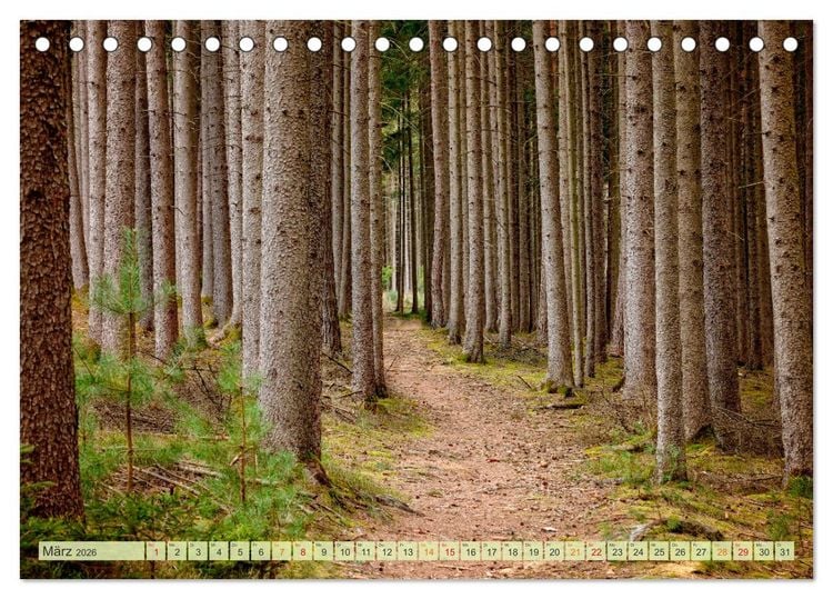 Produktbild: Wandern - die Welt erwartet Dich (Tischkalender 2026 DIN A5 quer), CALVENDO Monatskalender