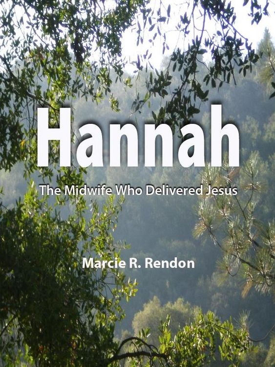 Produktbild: Hannah The Midwife Who Delivered Jesus