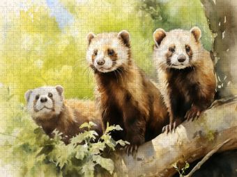 Produktbild: CALVENDO Puzzle Ein Motiv aus dem Kalender "Zw&ouml;lf Monate im Wald" | 1000 Teile Lege-Gr&ouml;&szlig;e 64x48cm Foto-Puzzle f&uuml;r gl&uuml;ckliche Stunden