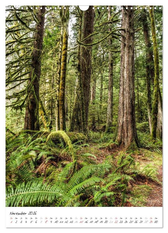Produktbild: Weltnaturerbe Olympic National Park (Wandkalender 2026 DIN A3 hoch), CALVENDO Monatskalender