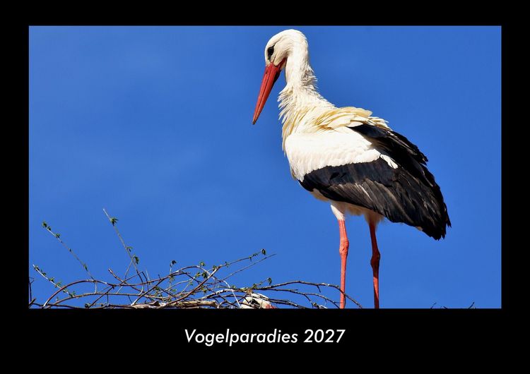 Produktbild: Vogelparadies 2027 Fotokalender DIN A3