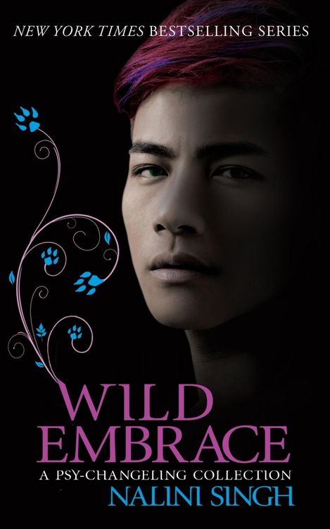 Produktbild: Wild Embrace: A Psy-Changeling Collection