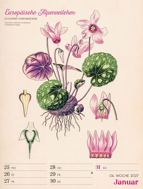 Produktbild: Ars Floralis Wochenplaner Kalender 2027