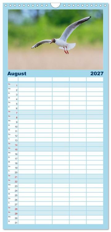 Produktbild: Familienplaner 2027 - Limikolen - Watv&ouml;gel aus Europa mit 5 Spalten (Wandkalender, 21 x 45 cm) CALVENDO