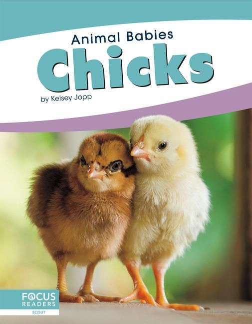 Produktbild: Chicks