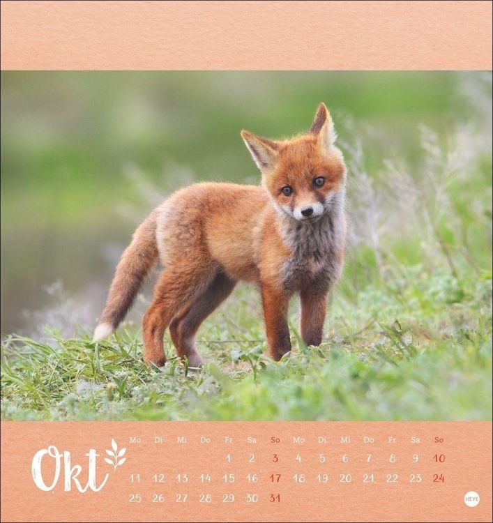 Produktbild: Vadim Trunov: M&auml;rchenhaftes Waldleben Postkartenkalender 2027